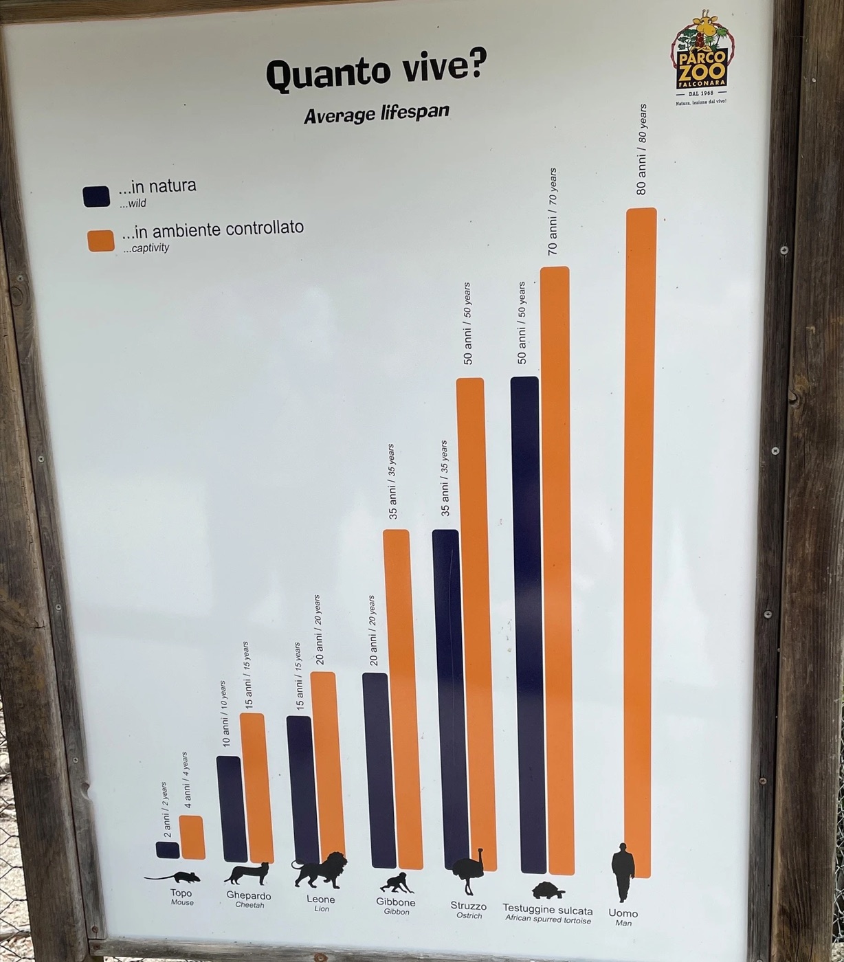 Informatiebord in een Italiaanse dierentuin met een gegroepeerd staafdiagram over de levensduur van dieren